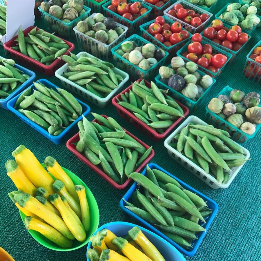 Westwood Village Farmers Market
