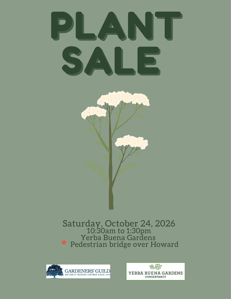 Second Annual Great Pumpkin Giveaway & Plant Sale
