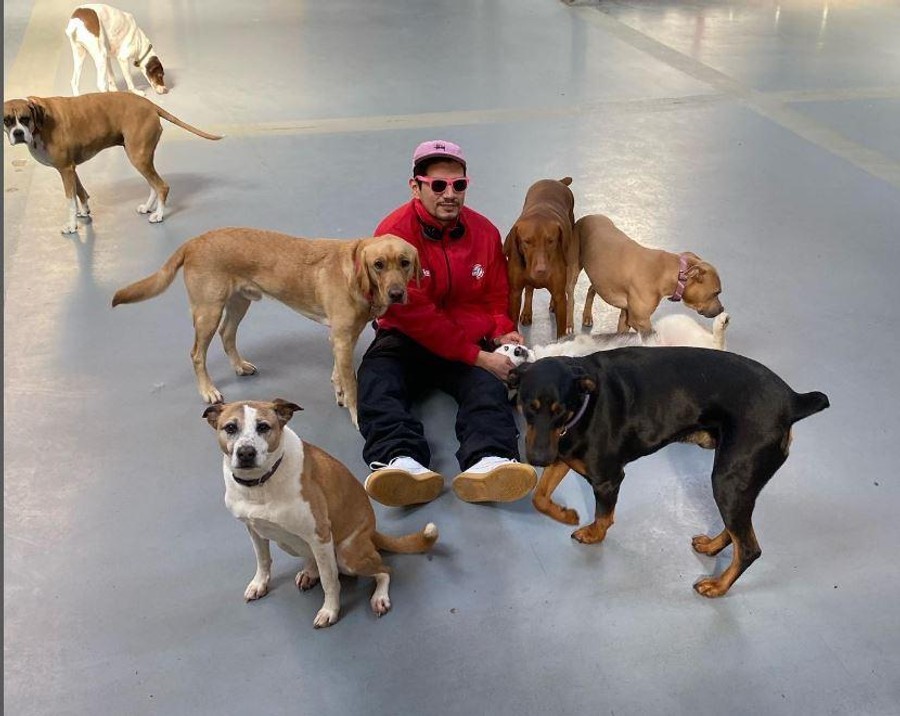 SF Puppy Love