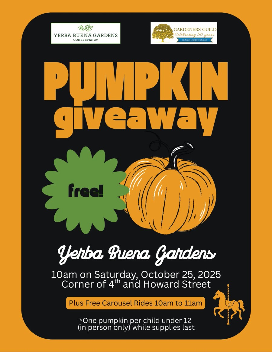 Pumpkin Giveaway