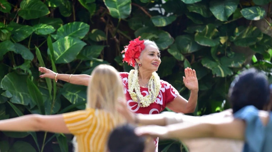 HULA LESSONS