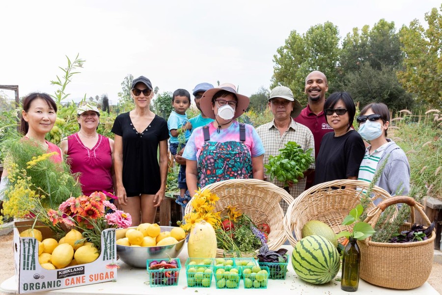 GARDEN: Second Sunday Garden Share