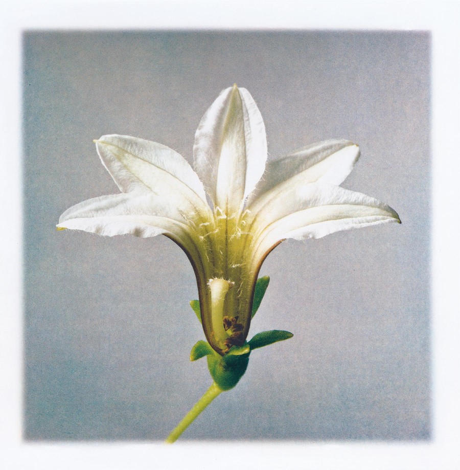 Verdant Spring: A Group Exhibition