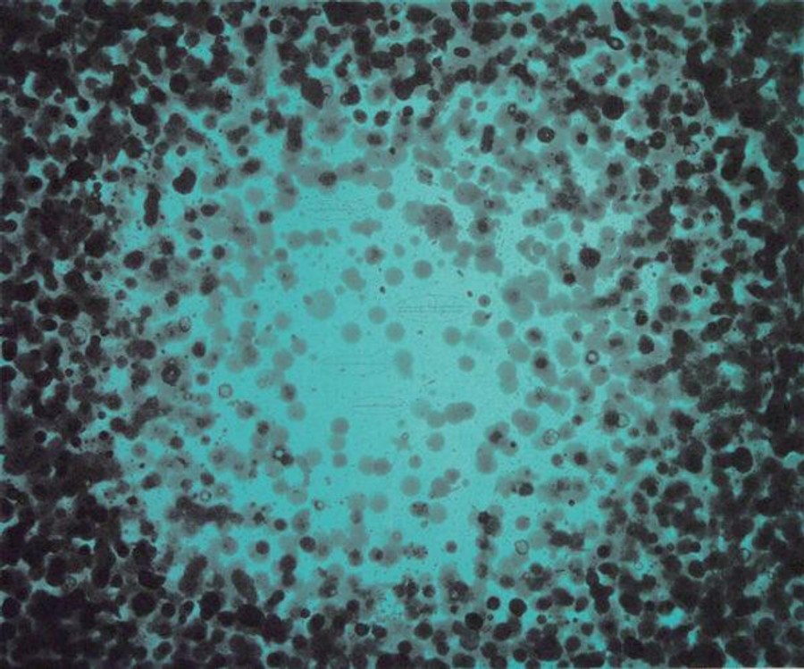 Kind of Blue – Winter Exhibition