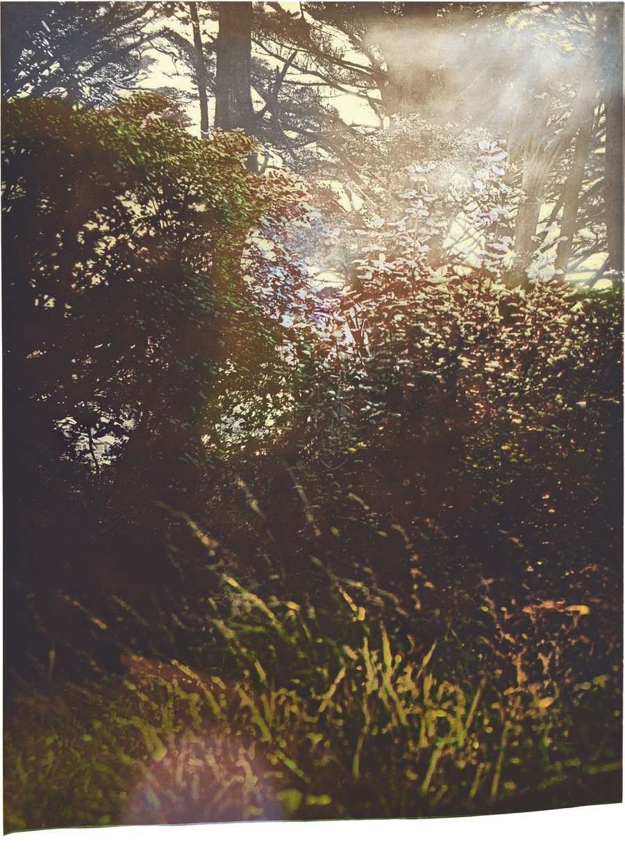Verdant Spring: A Group Exhibition