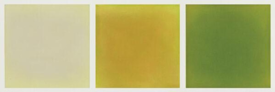 Summer Choices: A Group Exhibition