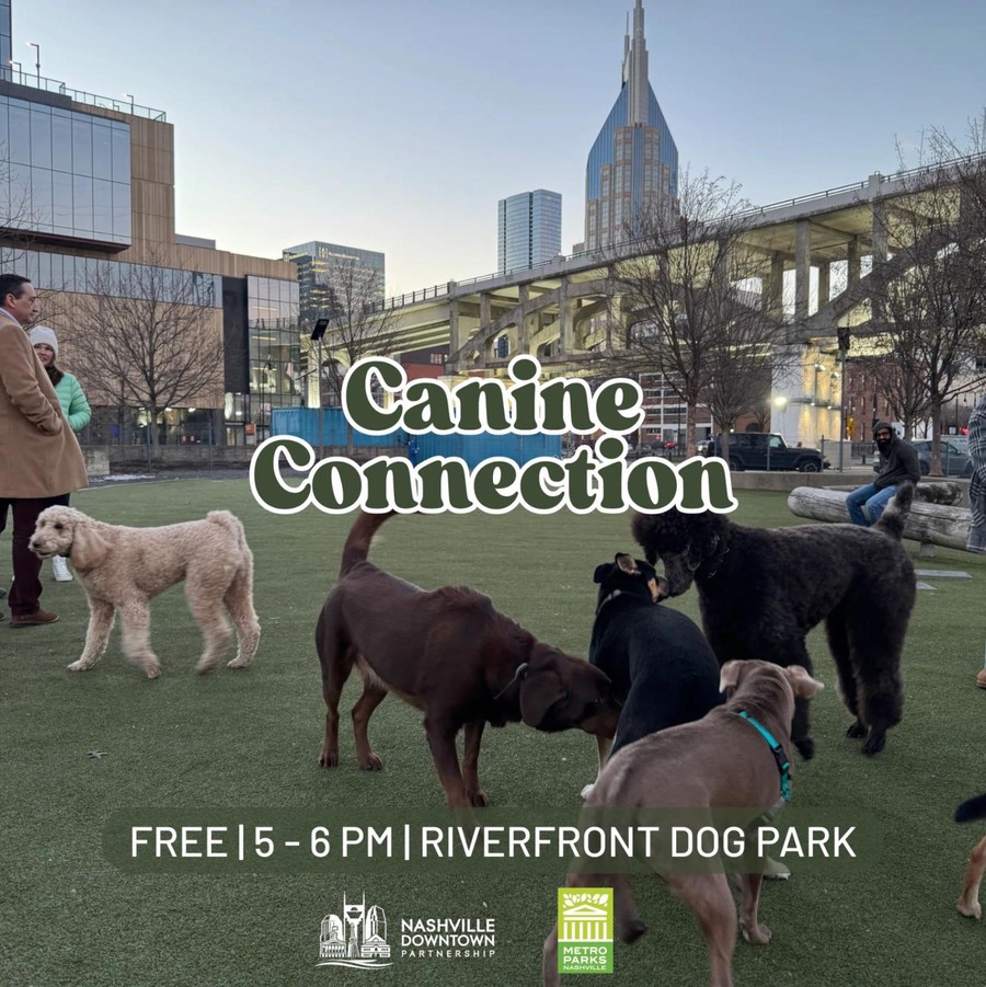 Canine Connection