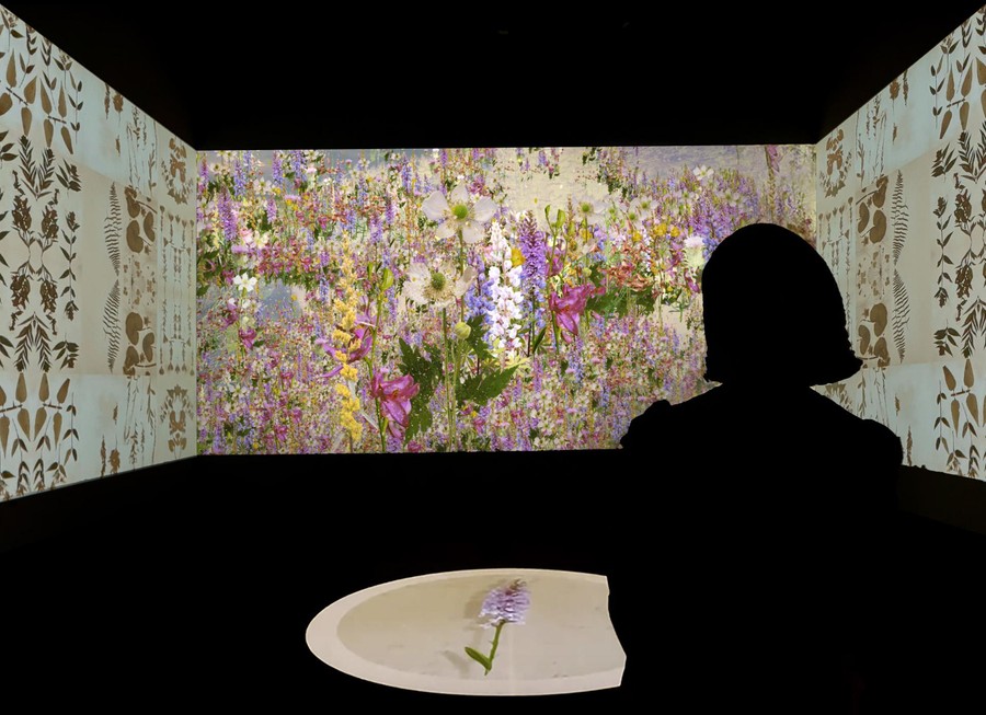Conversation: In Search of Thoreau's Flowers