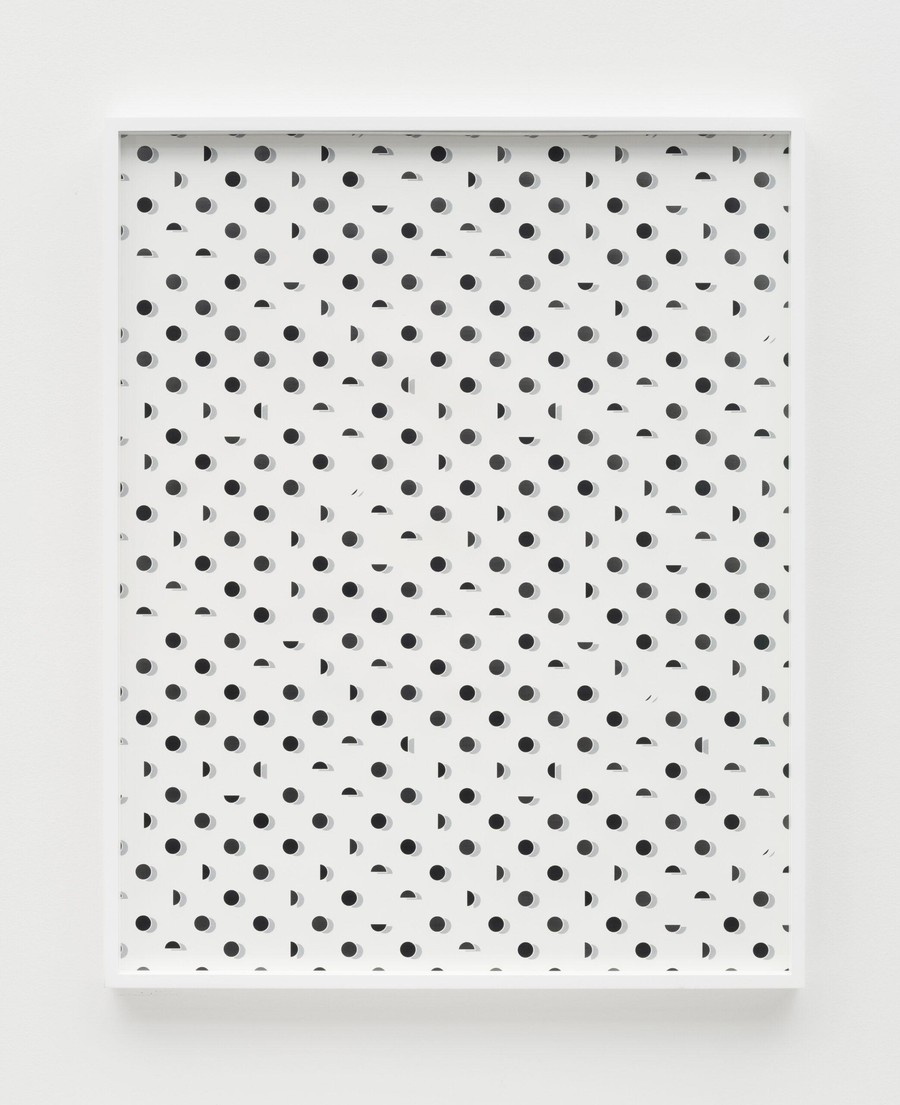 Sadie Barnette: exhibition walkthrough