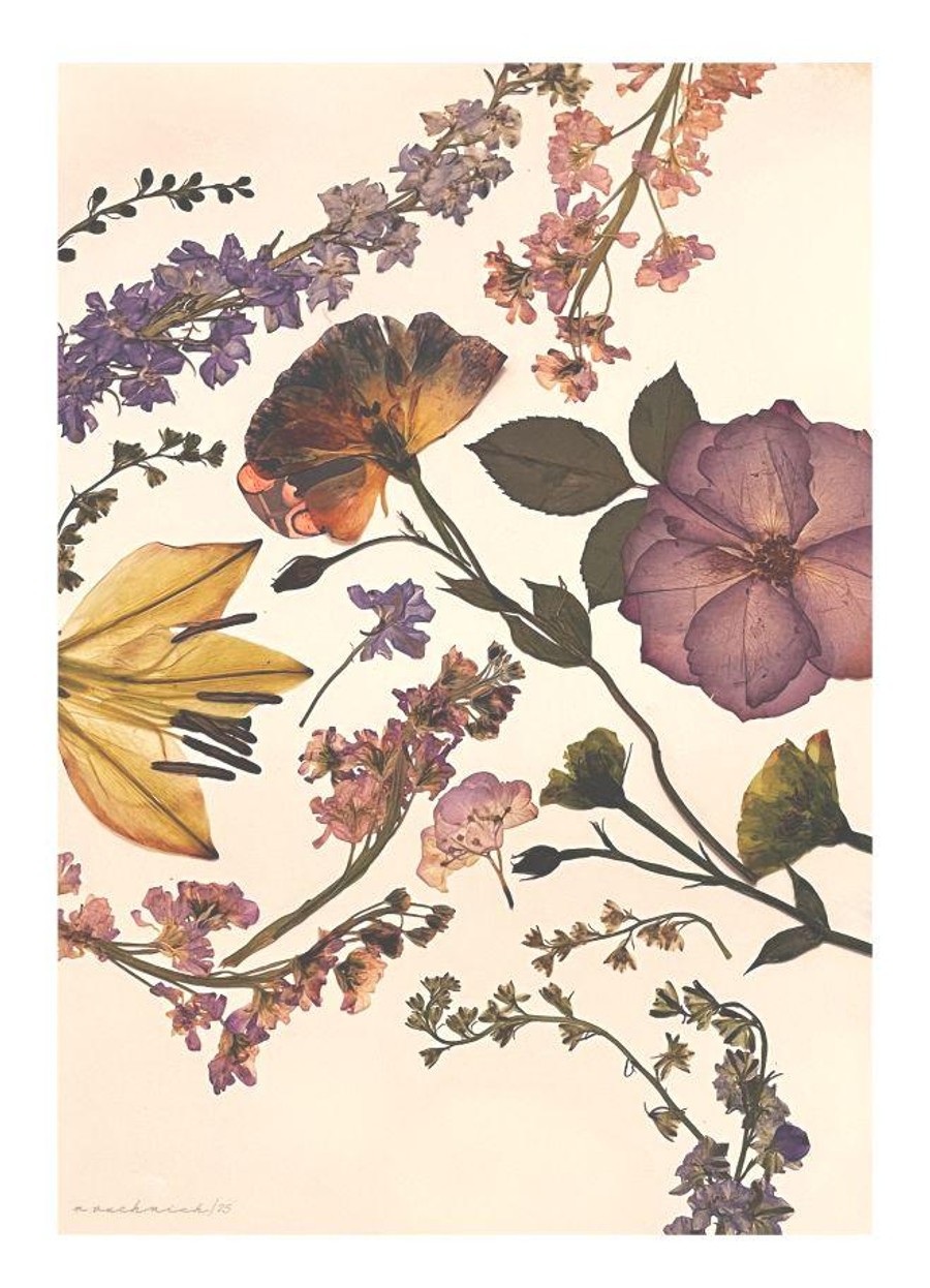 ARTlab: Getting in the Weeds—pressed Plants
