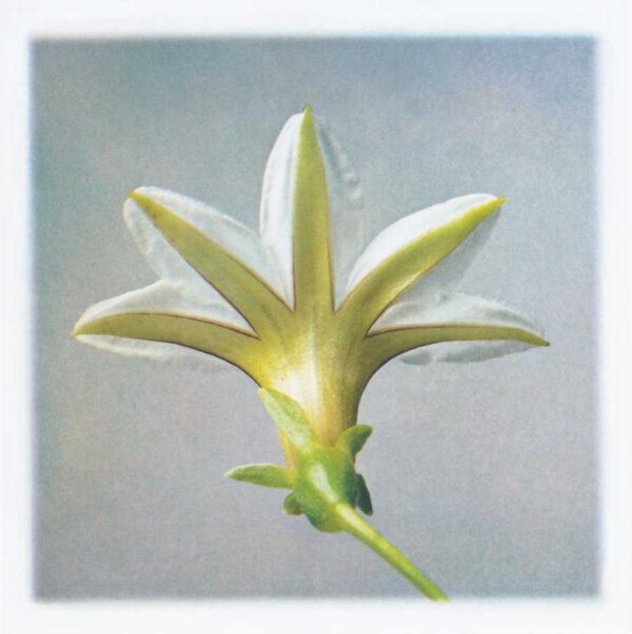 Summer Choices: A Group Exhibition