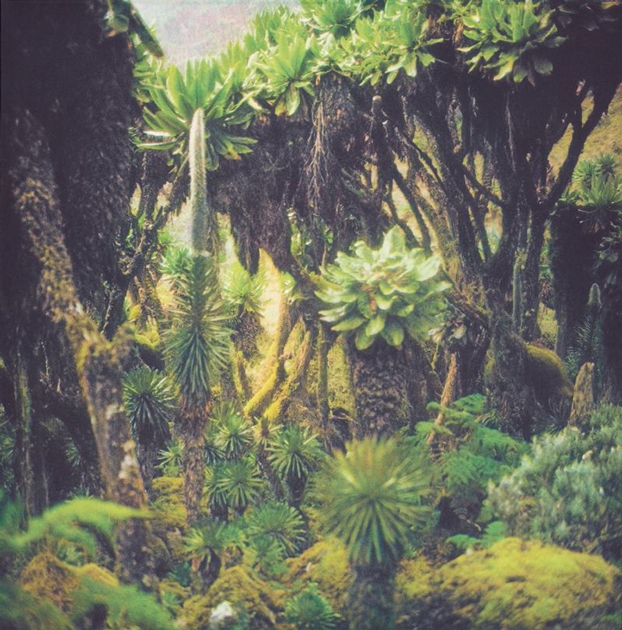 Verdant Spring: A Group Exhibition
