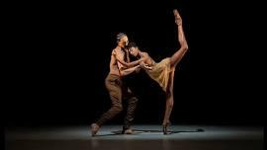 Experience the Magic of Dance: Alonzo King LINES Ballet Family Experience