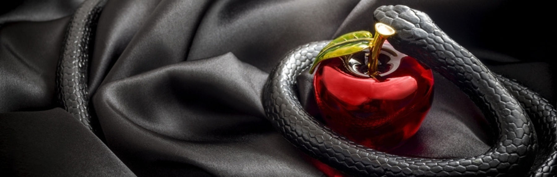 Dirty Talk- O Guia Definitivo