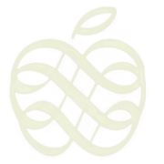 Logo Footer