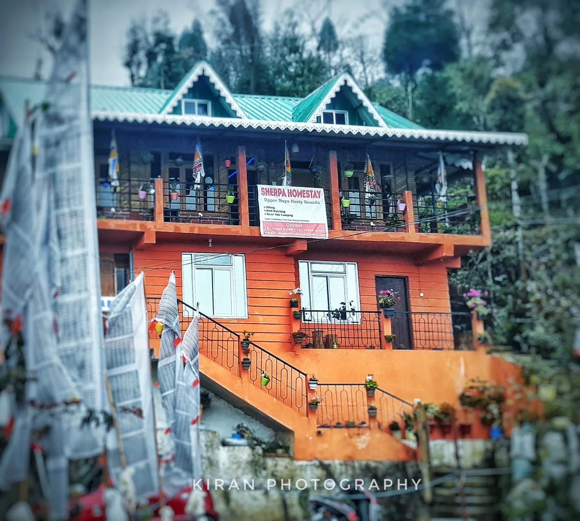 Sherpa Homestay - homestay in Sonada
