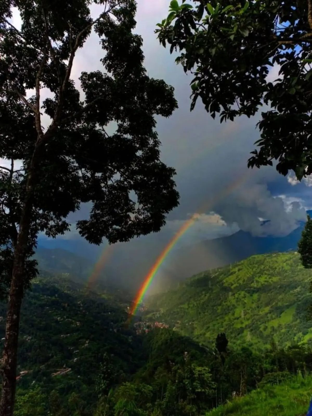 "Yakkha Homestay" photo