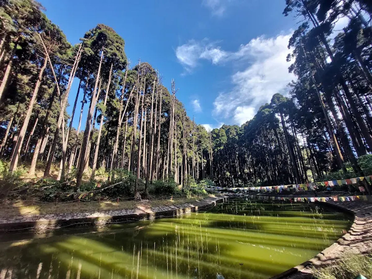 Greenview Homestay photo