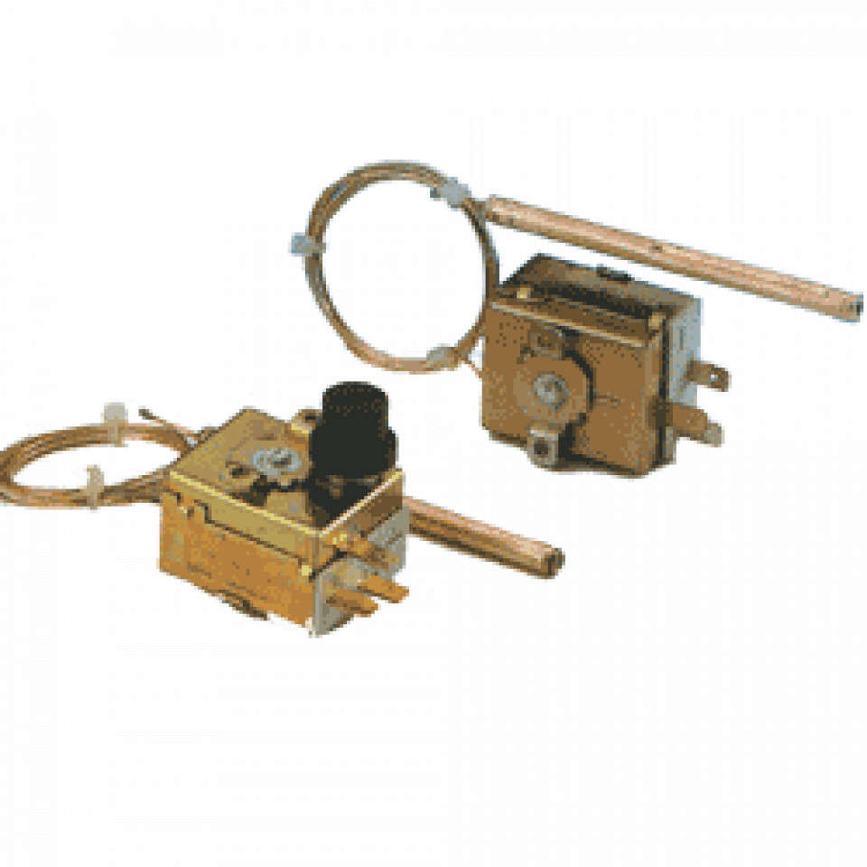 Termostate reglabile tr 2 50-300 grdc
