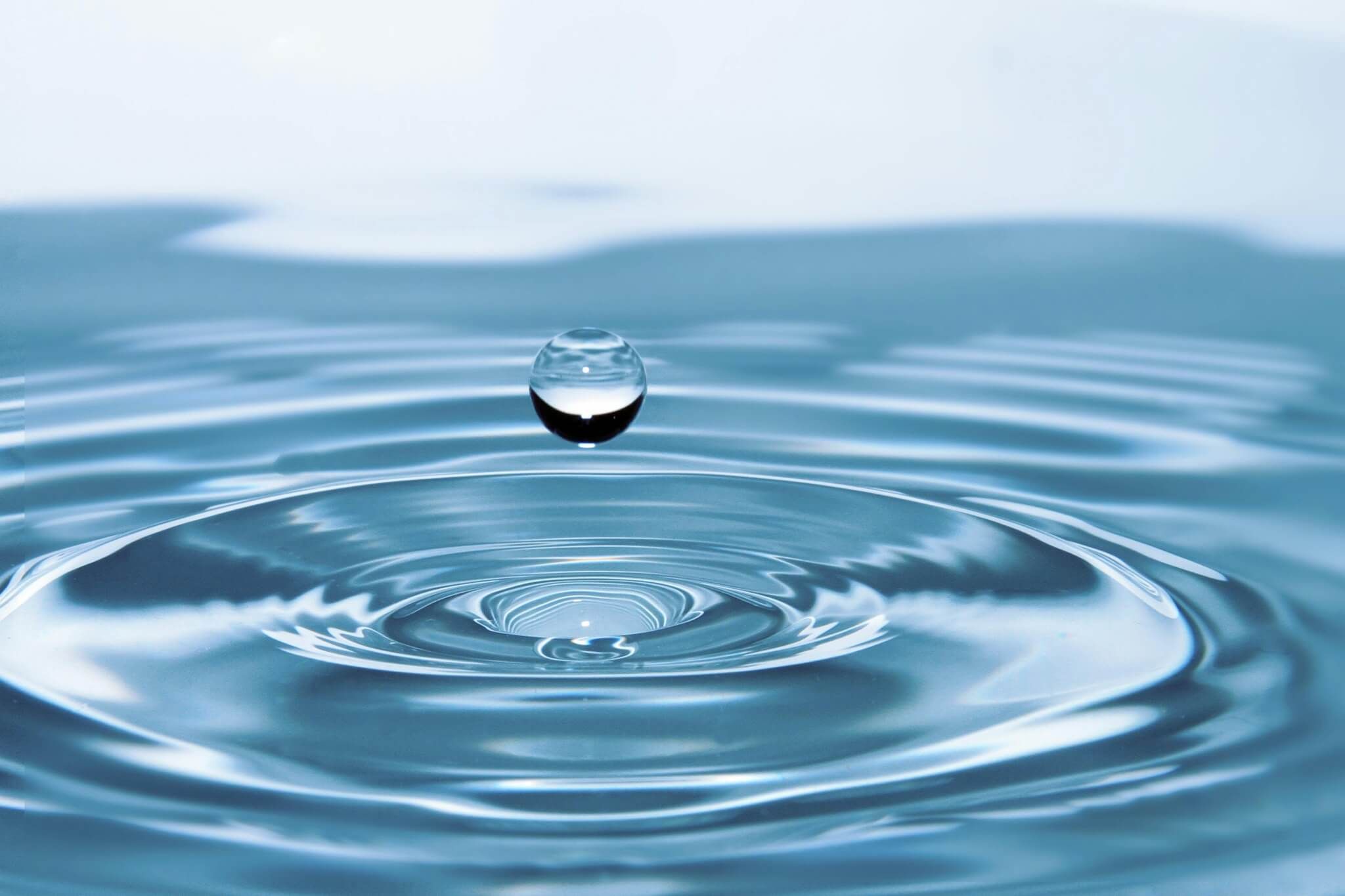 Water Resources in the Vineyard: A Dedicated Study - Vignerons Consultants