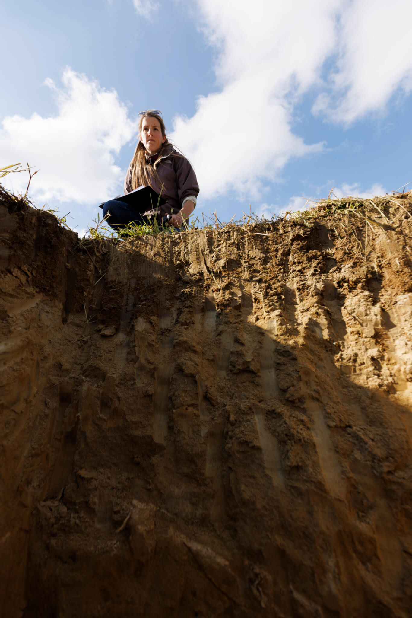A comprehensive approach - Vignerons Consultants