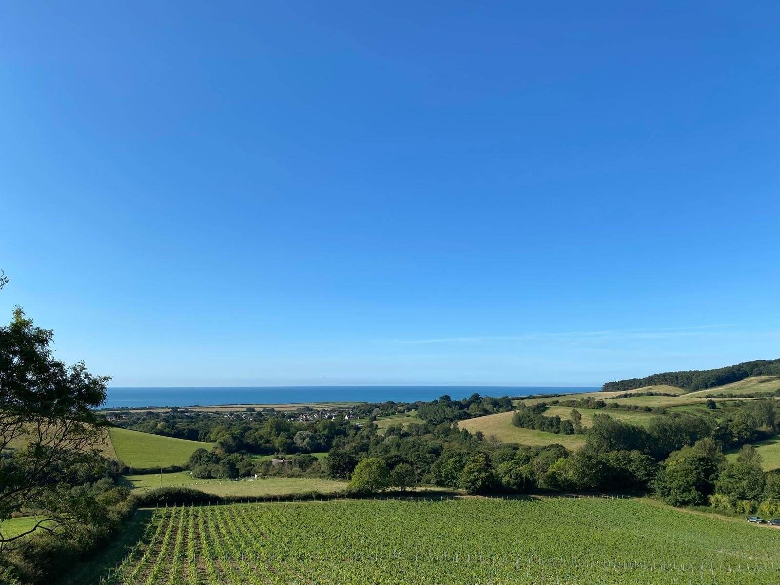 Une structure proche des clients - Vignerons Consultants