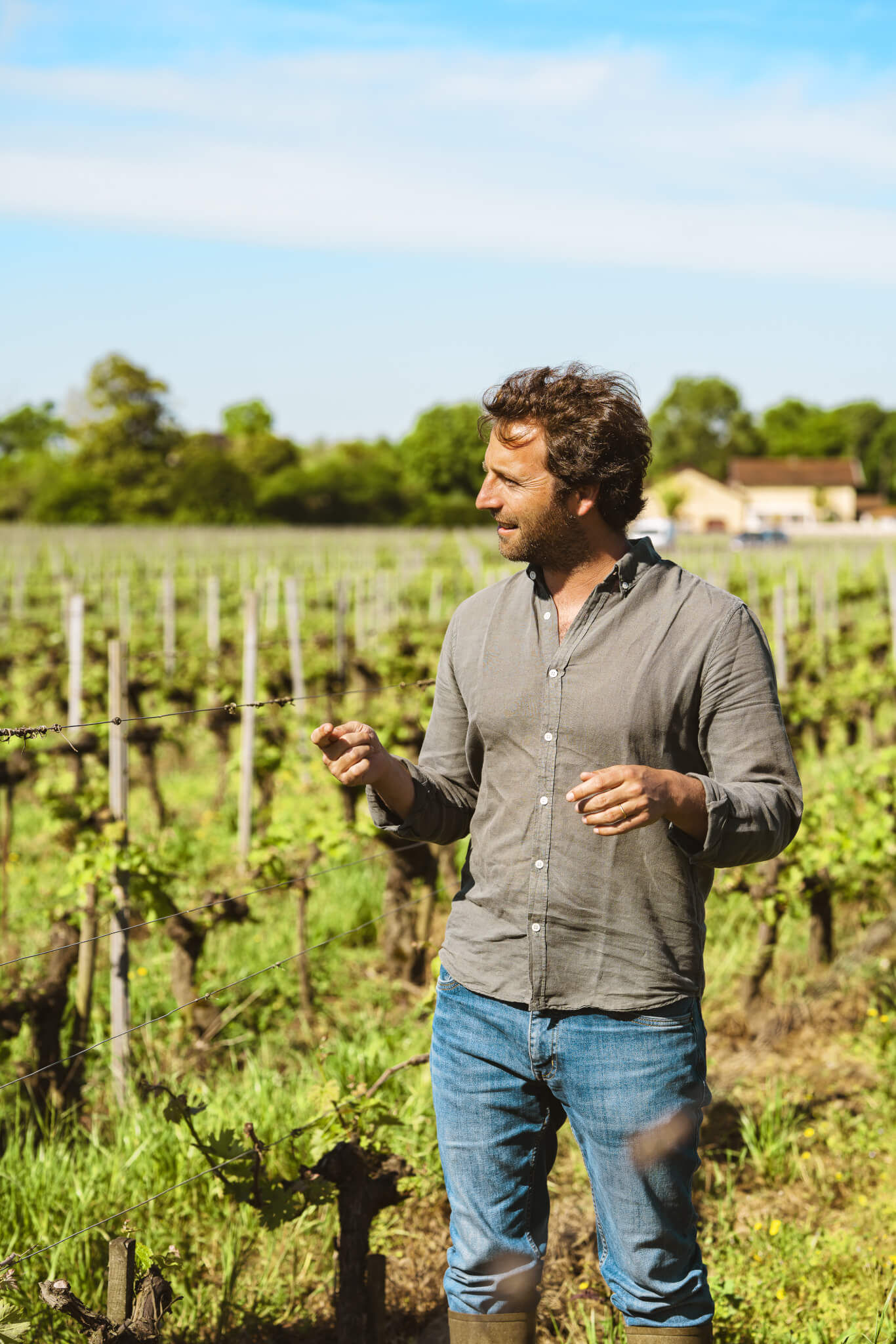 Ongoing Research & Development - Vignerons Consultants