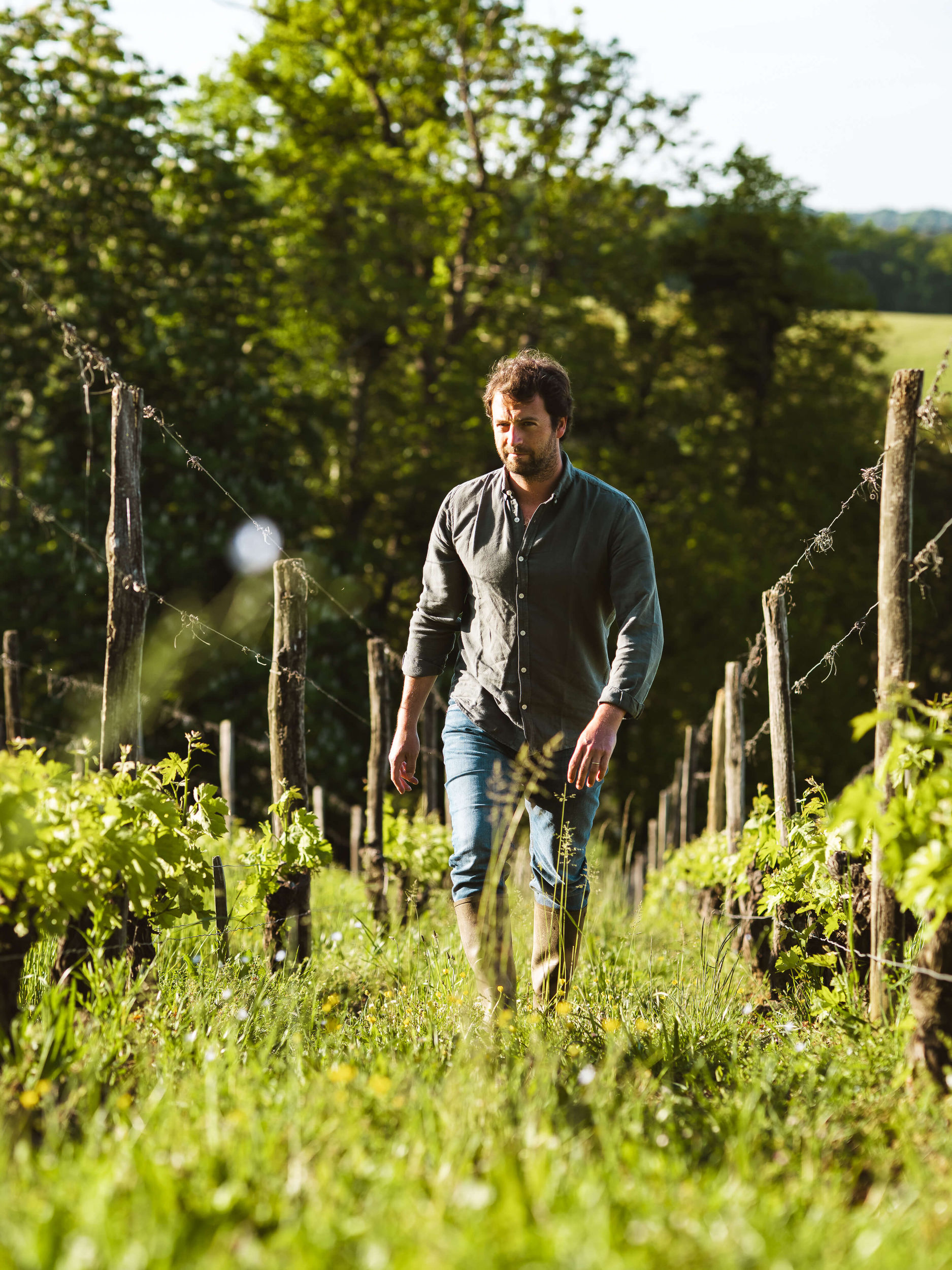 Home Page - Vignerons Consultants