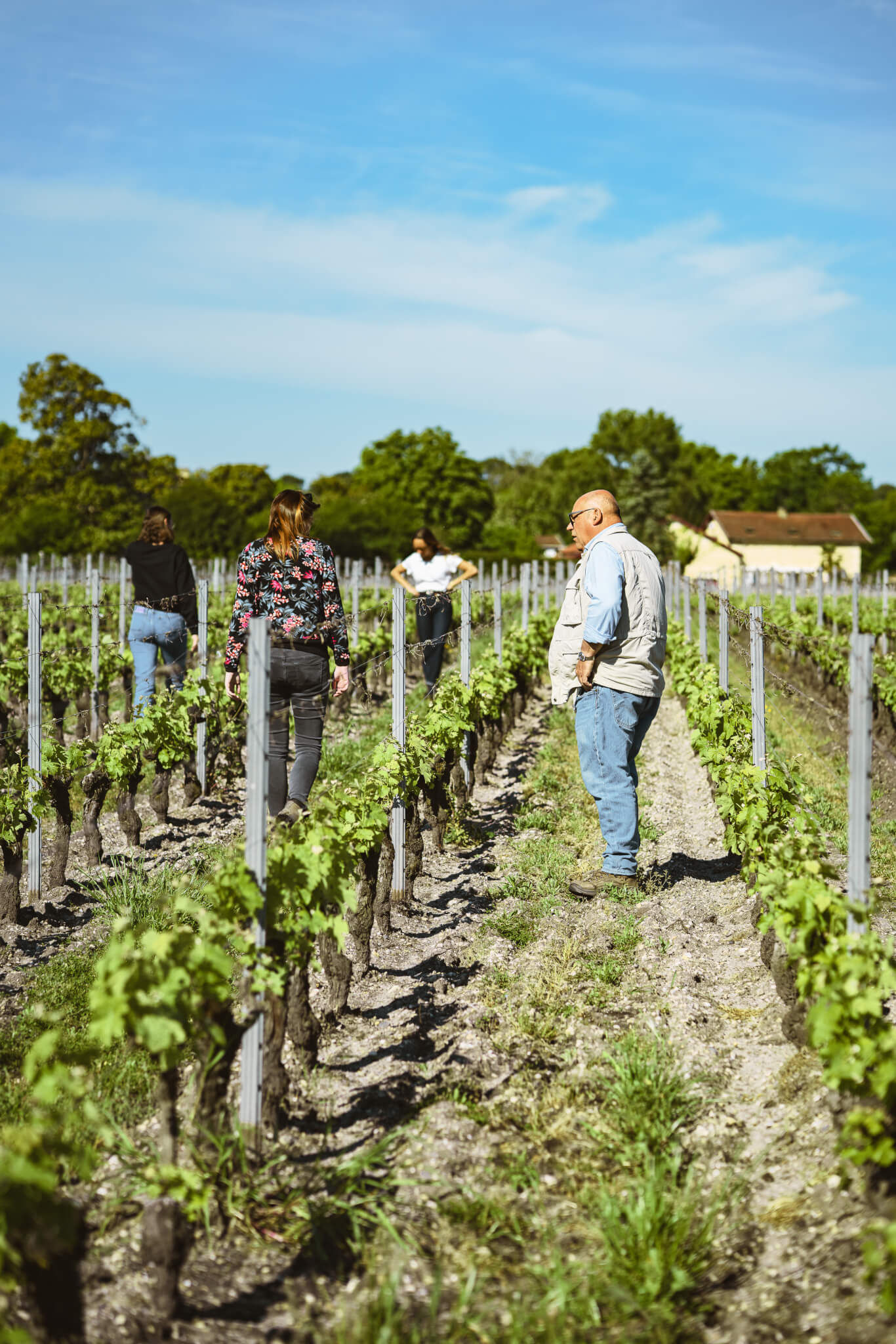 Une structure proche des clients - Vignerons Consultants