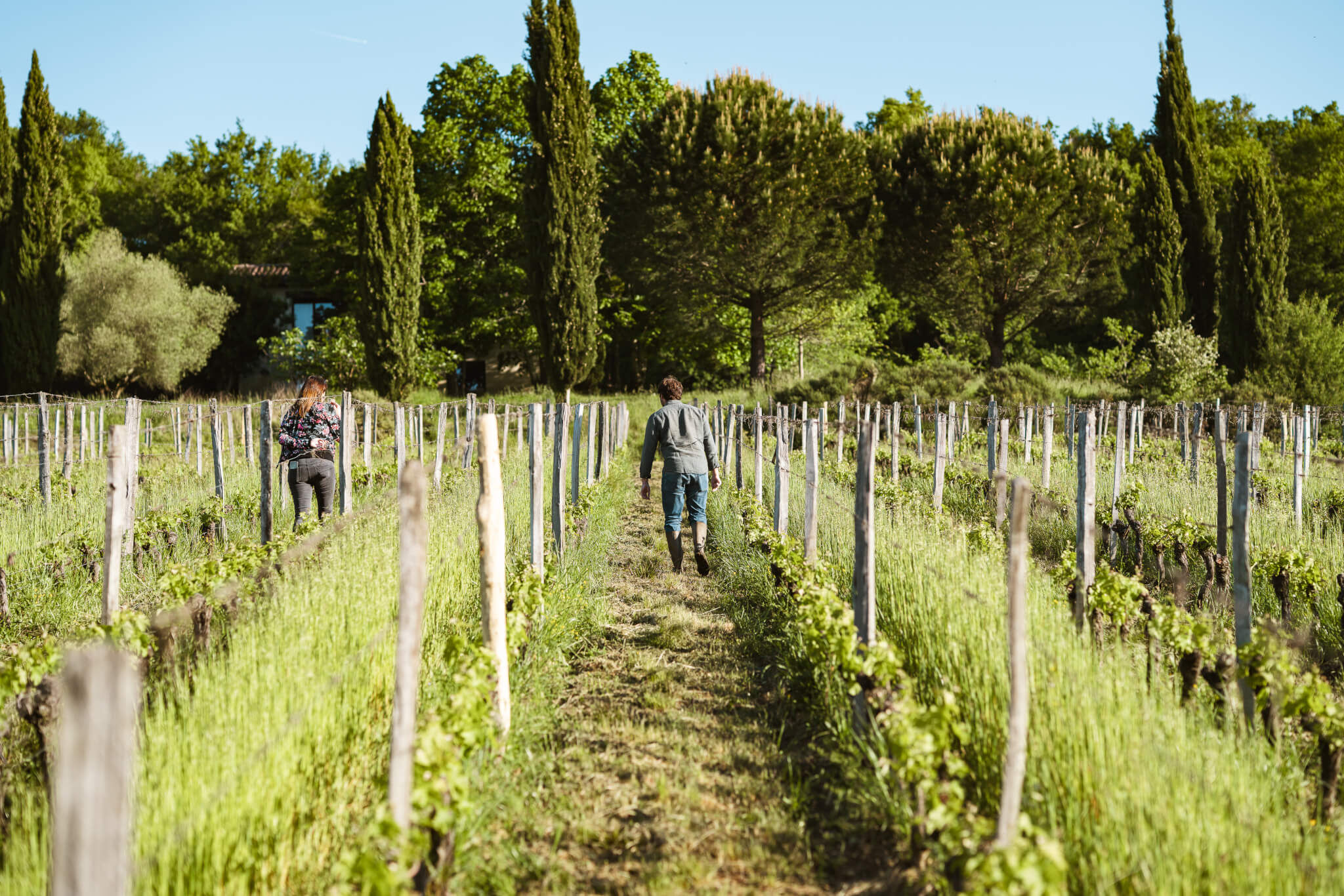 Une structure proche des clients - Vignerons Consultants