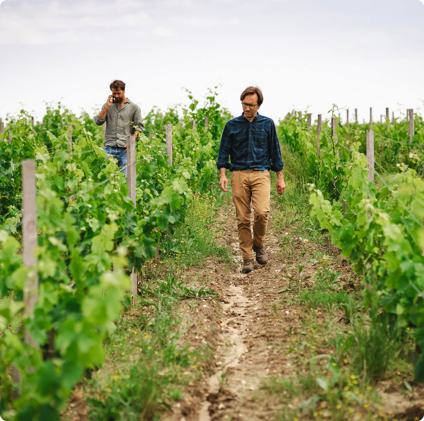 Un collectif de talents expérimentés - Vignerons Consultants