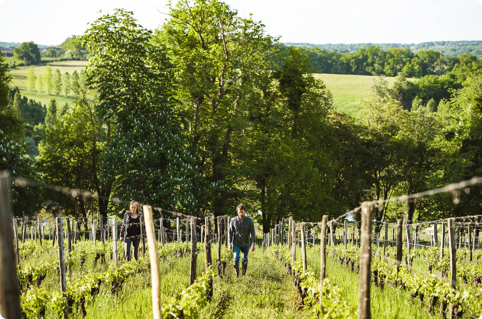 A diverse, global client base - Vignerons Consultants