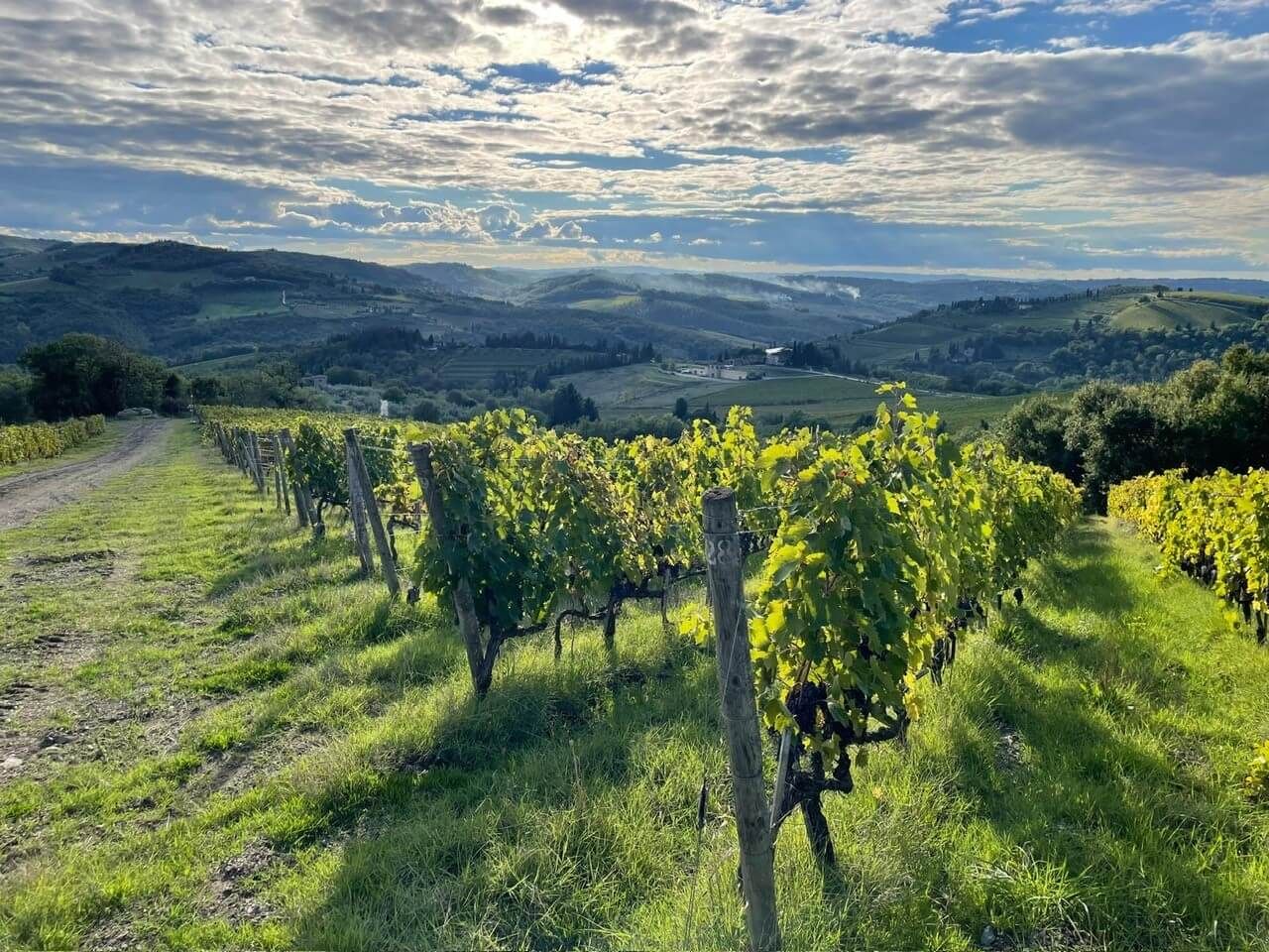 A diverse, global client base - Vignerons Consultants