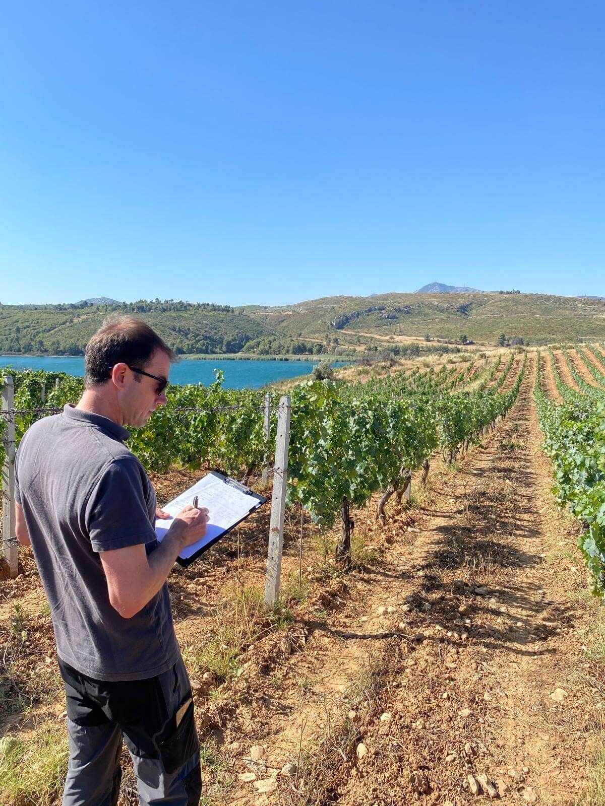Training & Sharing expertise - Vignerons Consultants