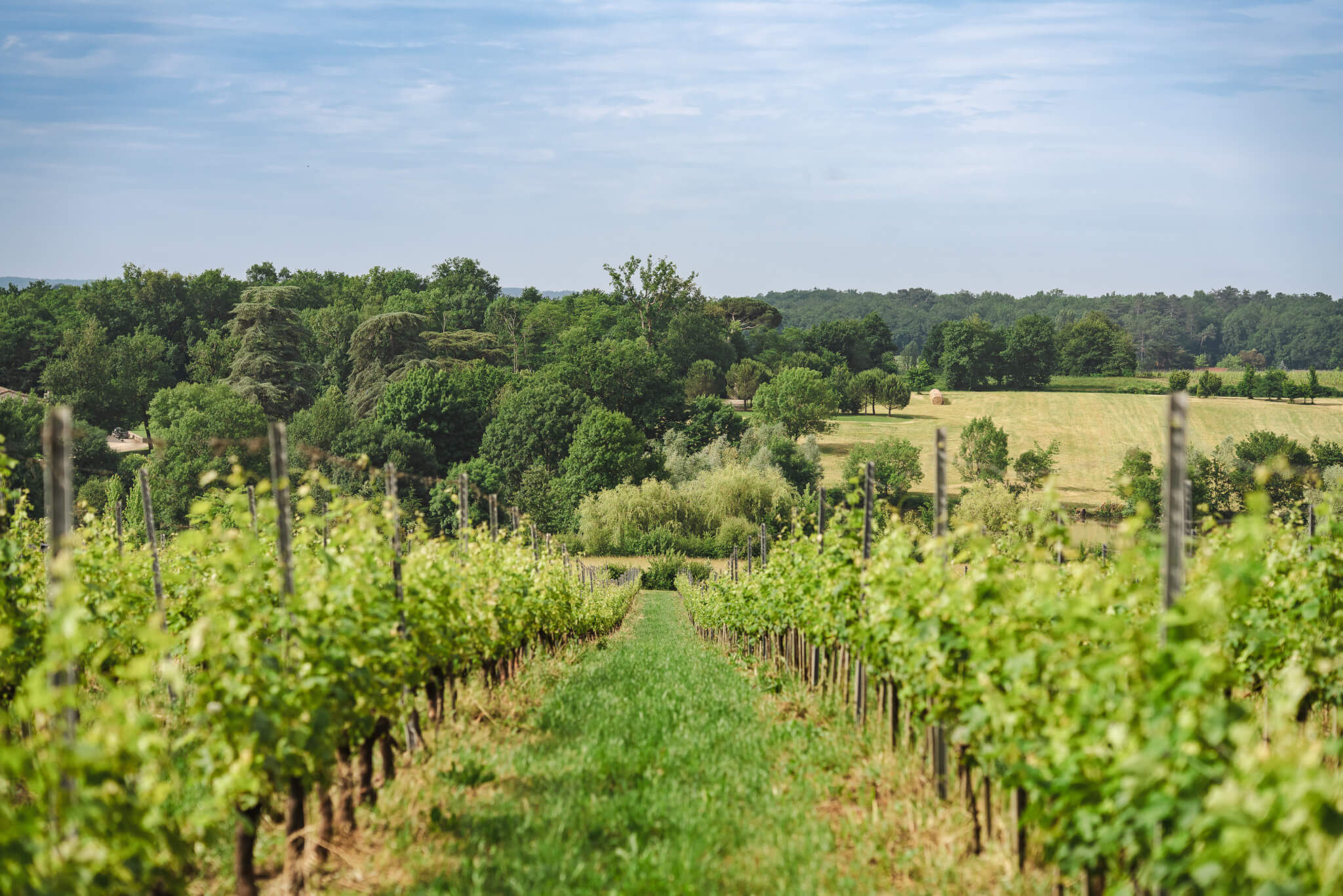 A comprehensive approach - Vignerons Consultants