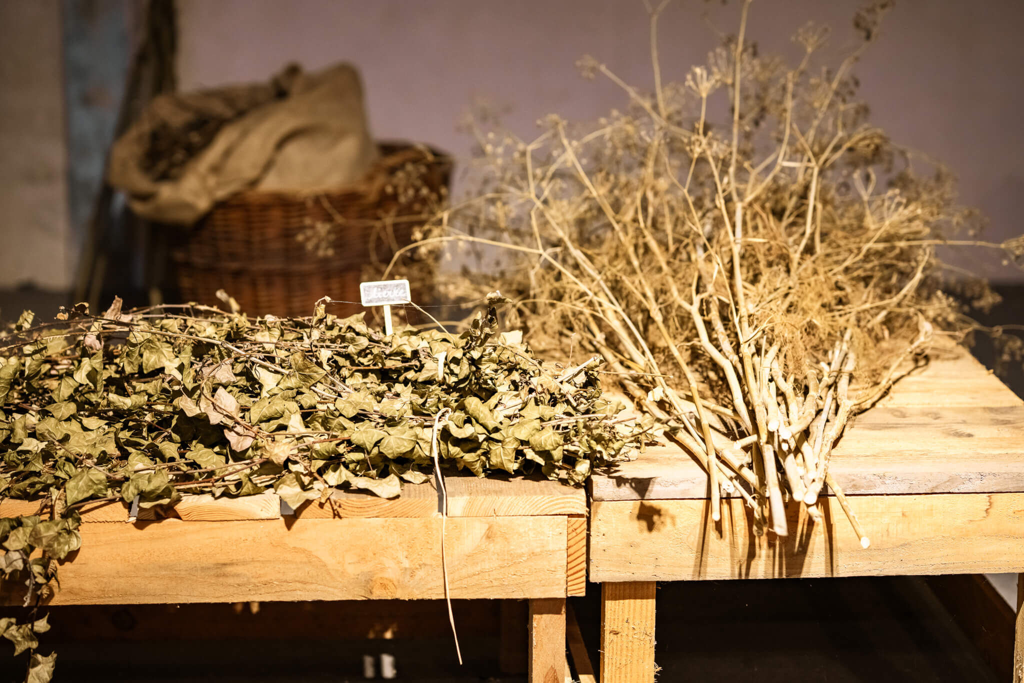 Advice on environmental procedures - Vignerons Consultants