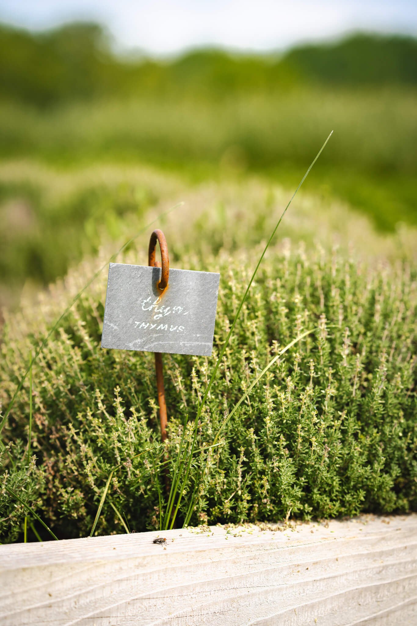 A diverse, global client base - Vignerons Consultants