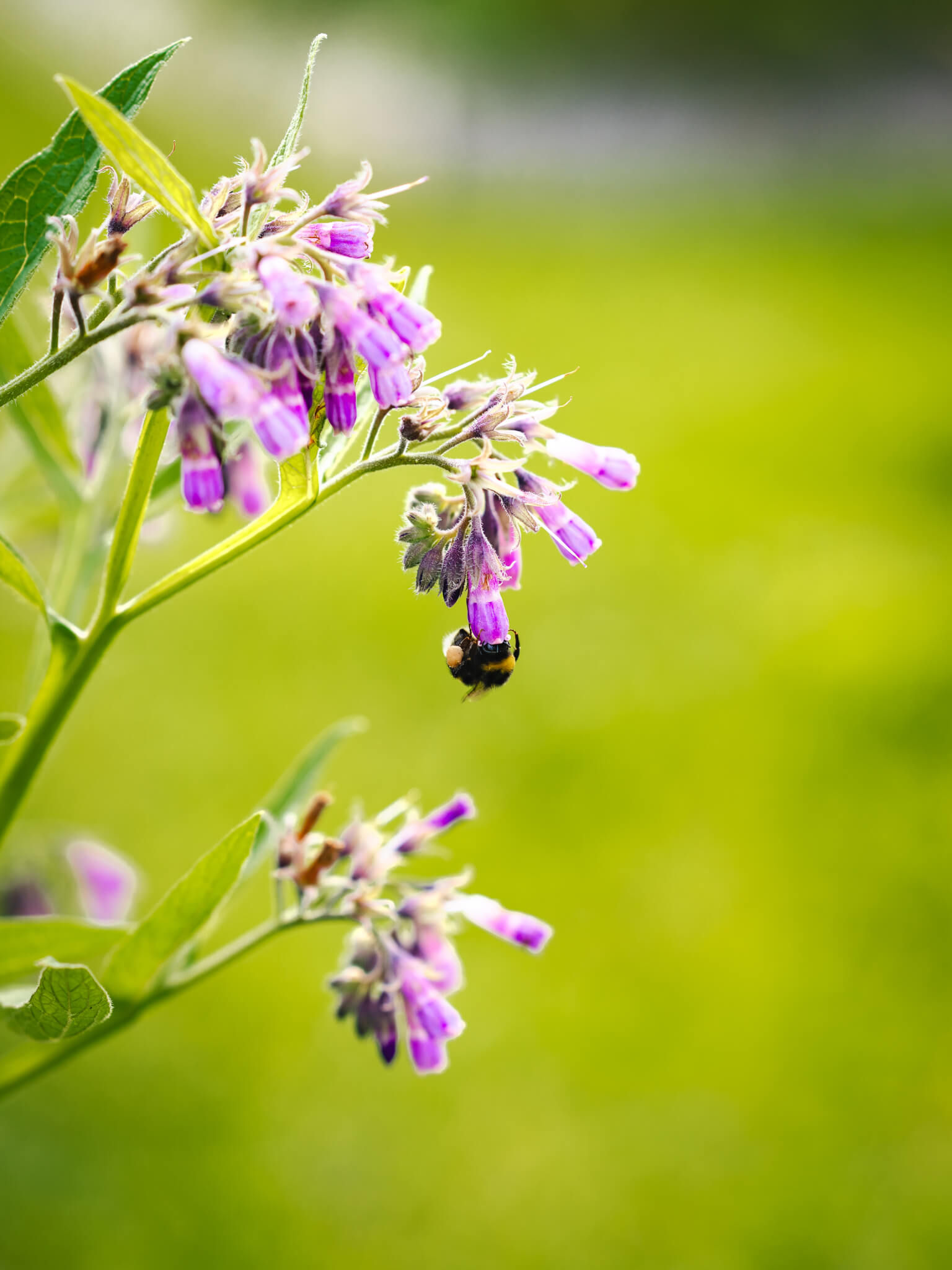 Advice on environmental procedures - Vignerons Consultants
