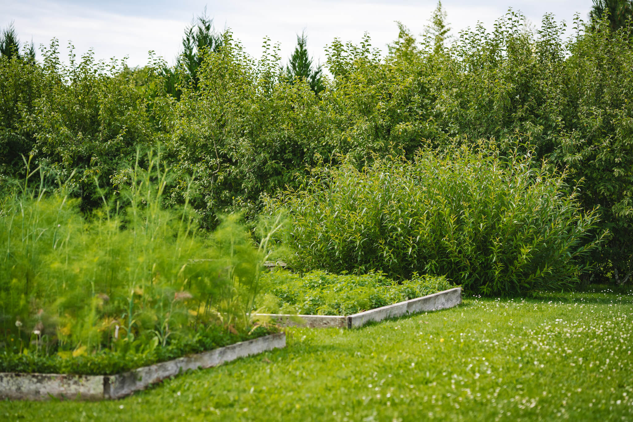 Advice on environmental procedures - Vignerons Consultants