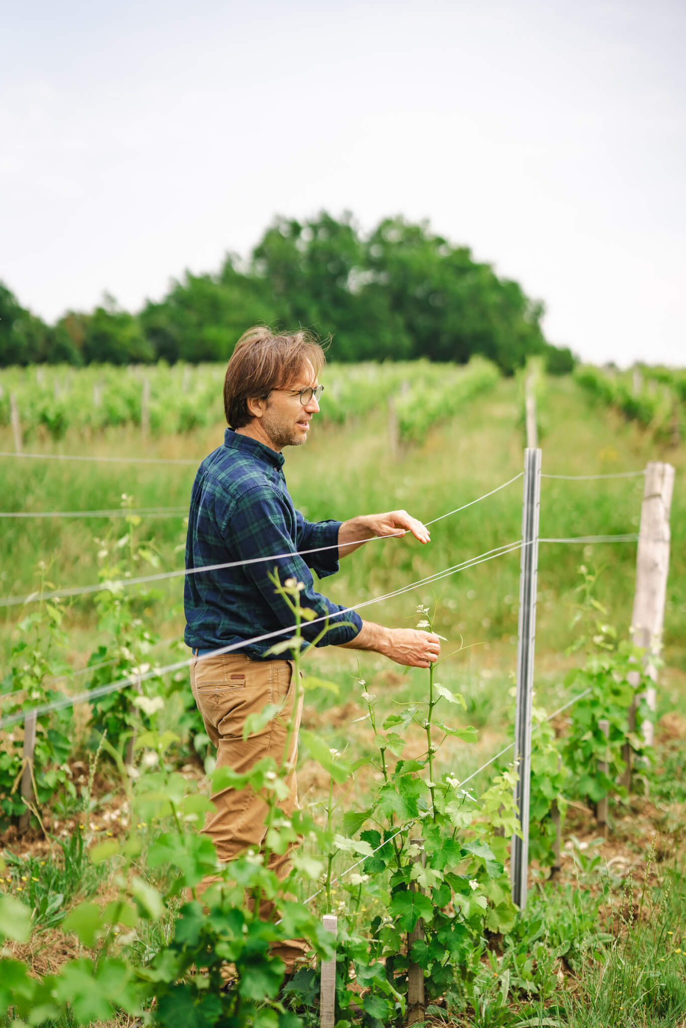 Un métier en évolution - Vignerons Consultants