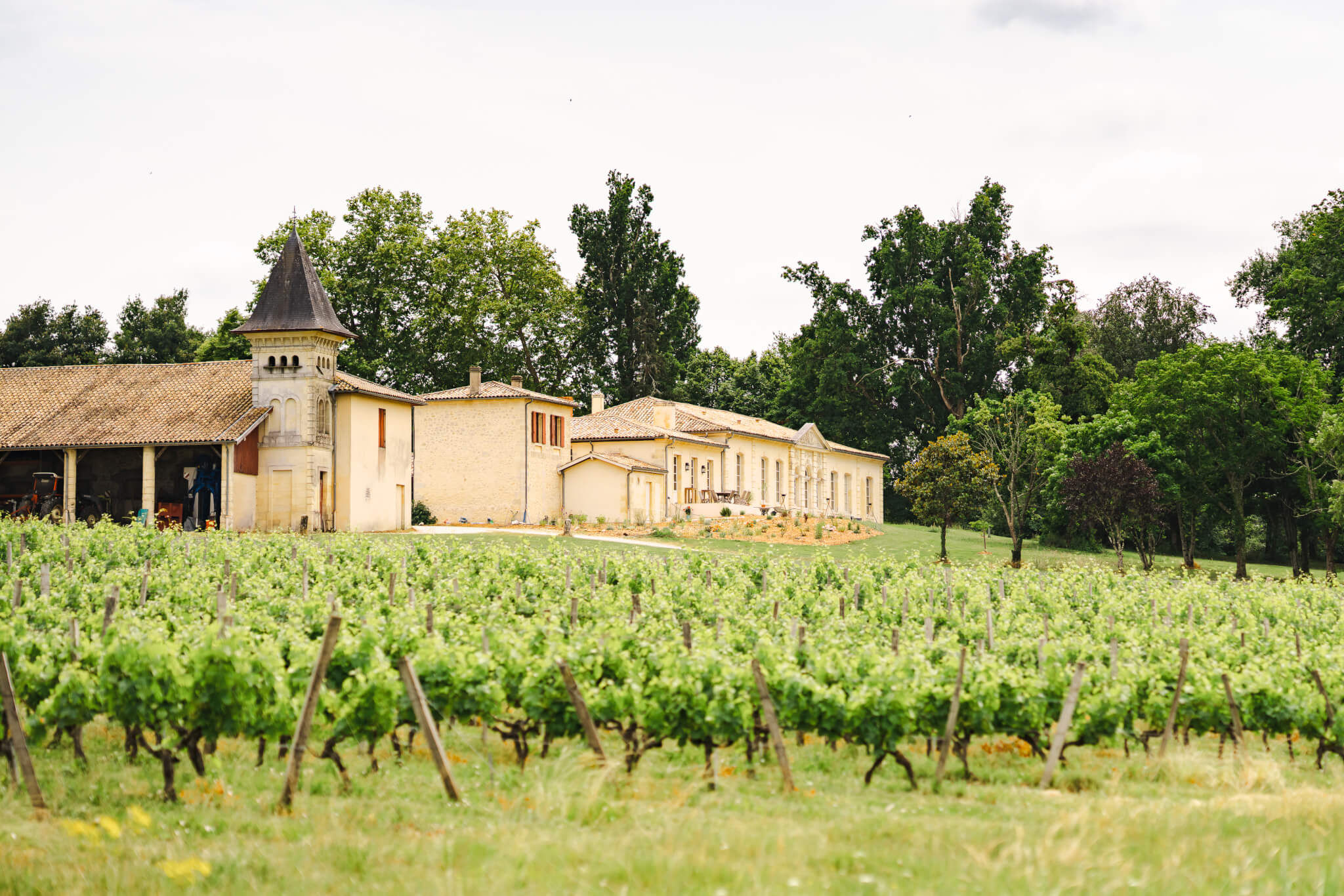 A diverse, global client base - Vignerons Consultants