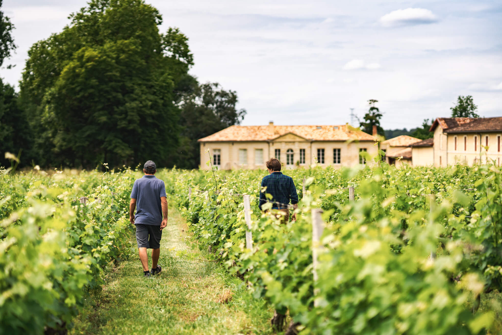Our Bordeaux roots - Vignerons Consultants