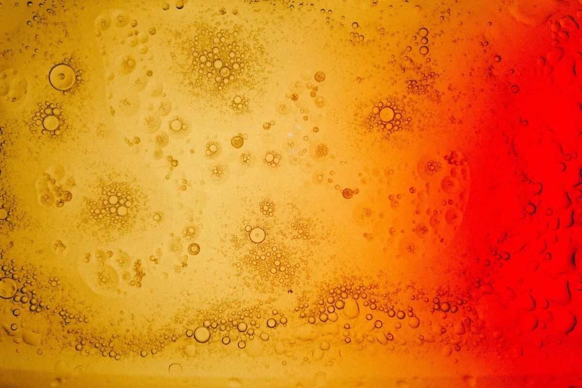 Pied de cuve en levures indigènes : maîtriser les fermentations spontanées - Vignerons Consultants