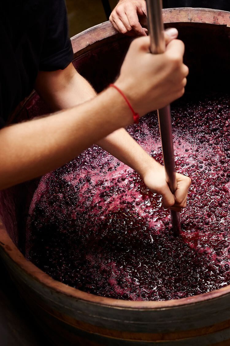 Conseil en Viticulture & Œnologie - Vignerons Consultants