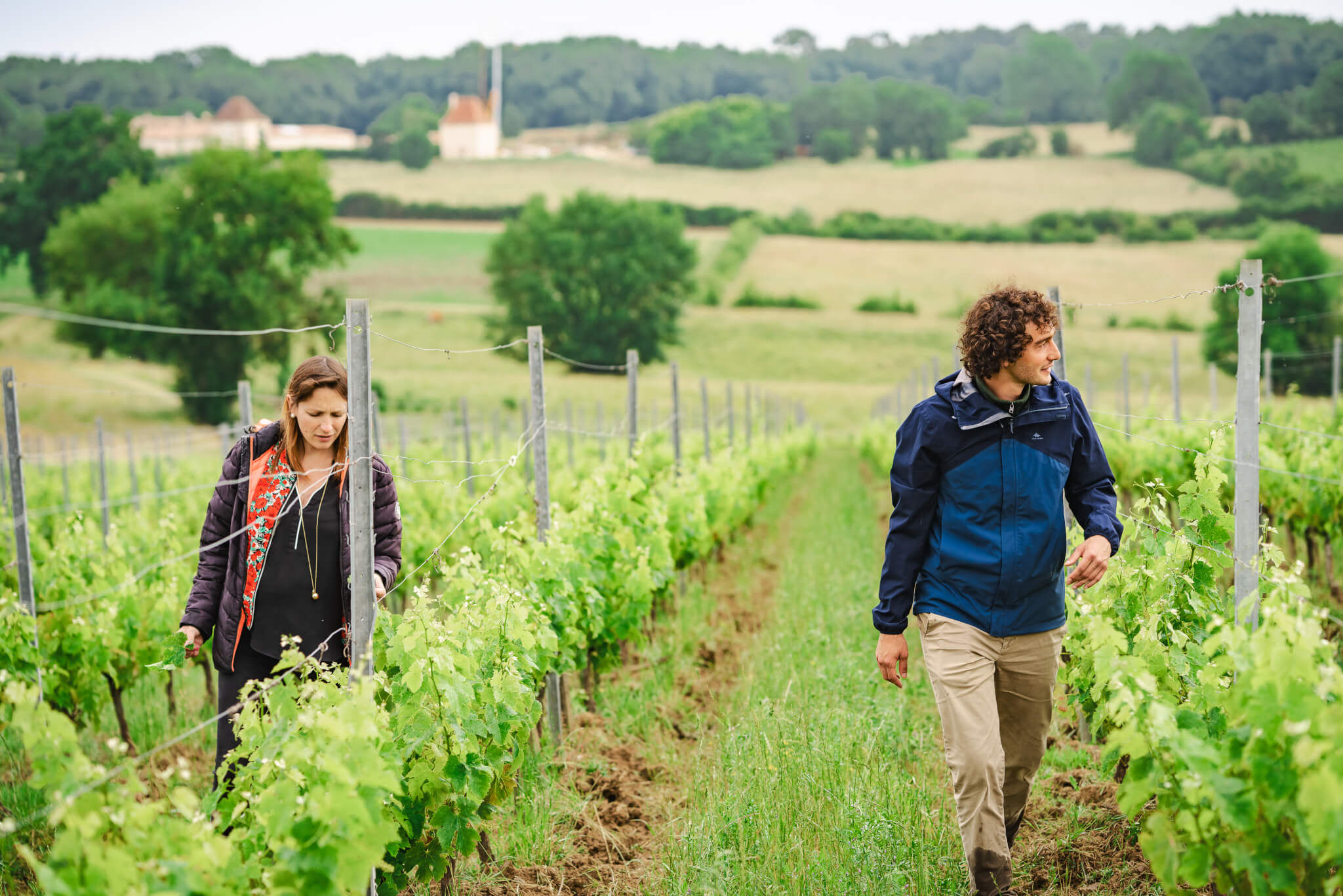Advice on environmental procedures - Vignerons Consultants