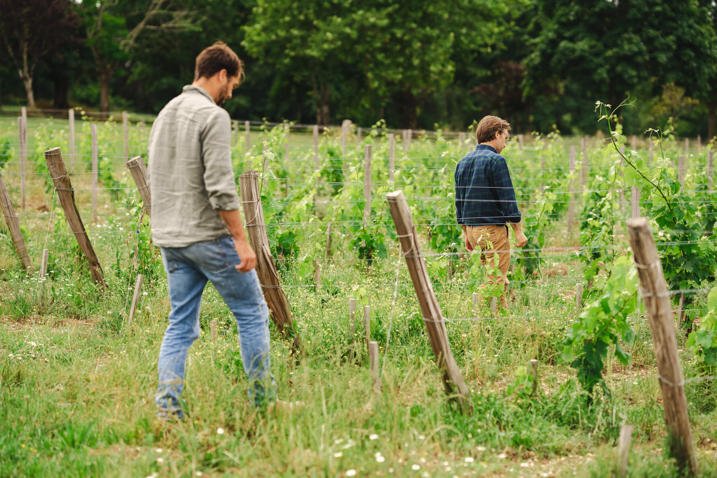 The evolution of the wine consulting profession: from solitary to collective - Vignerons Consultants