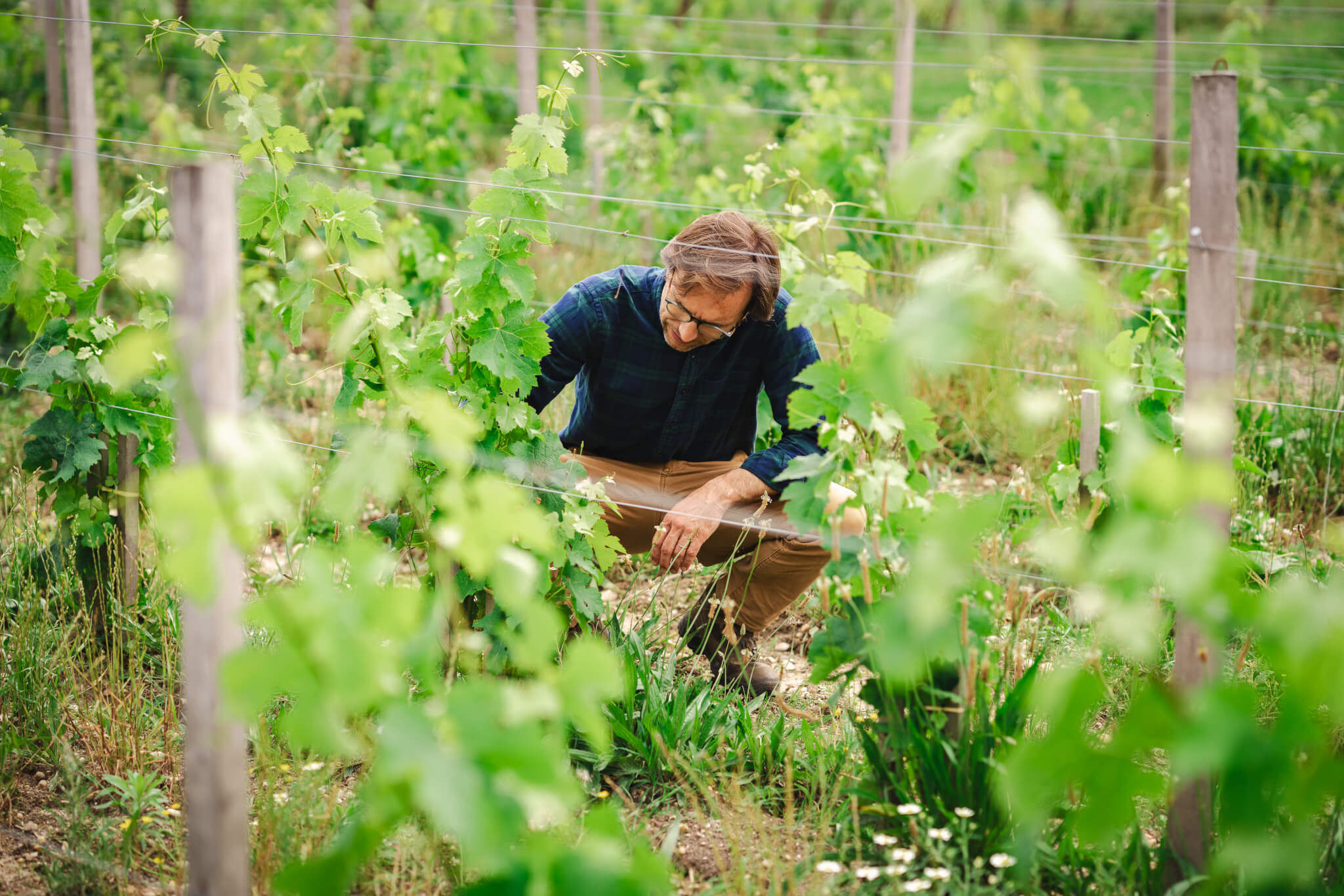 A comprehensive approach - Vignerons Consultants