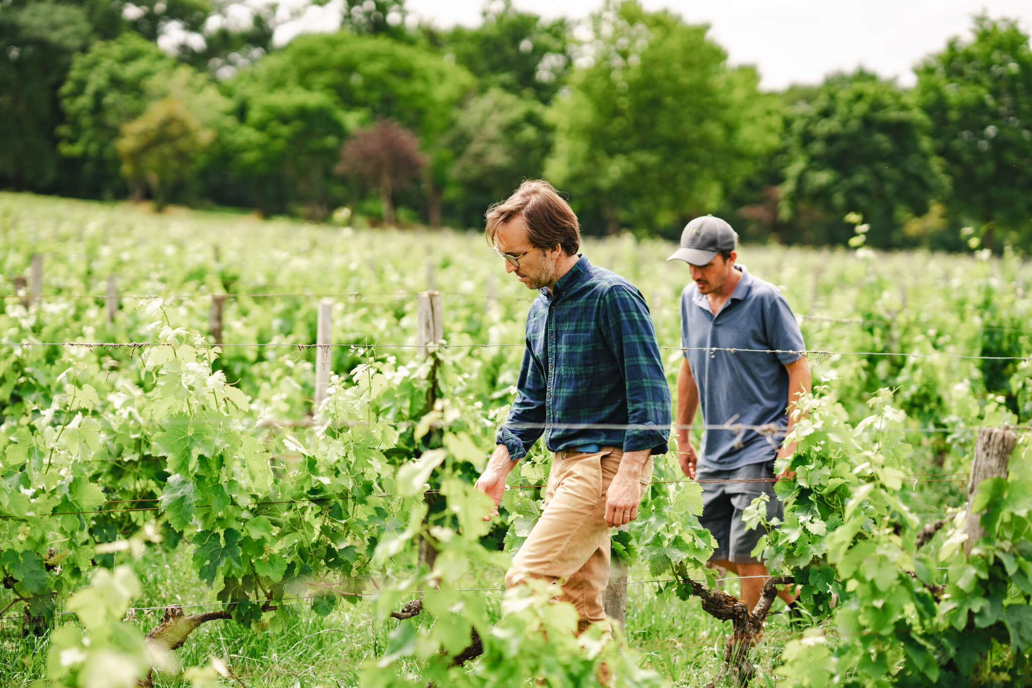 Une structure proche des clients - Vignerons Consultants