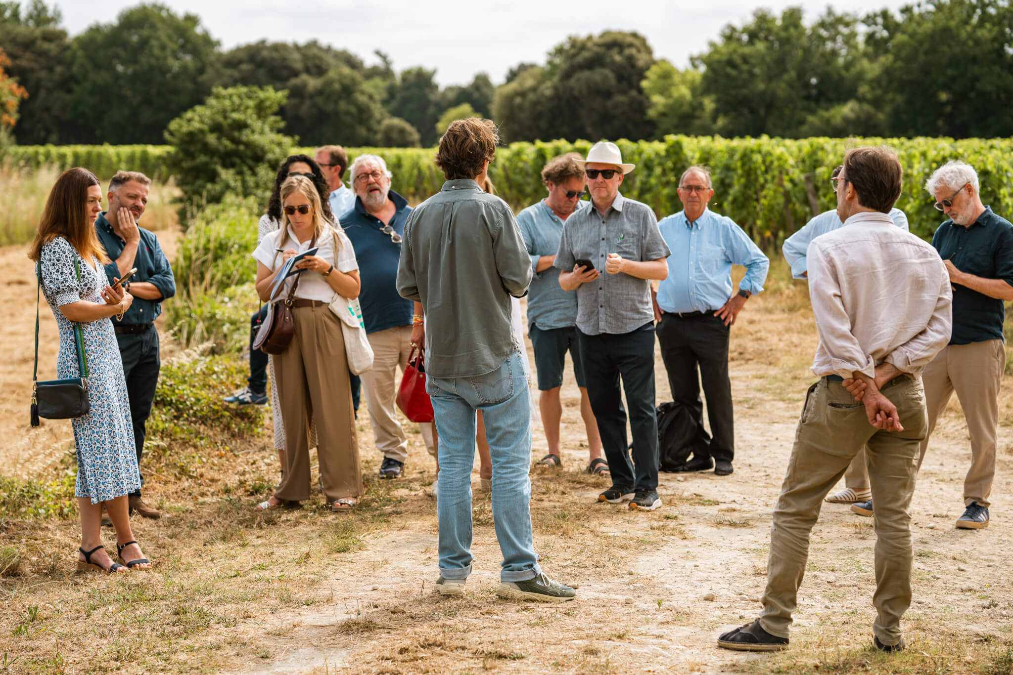 Saint-Émilion Signatures – Classified Growths & Trajectories - Vignerons Consultants