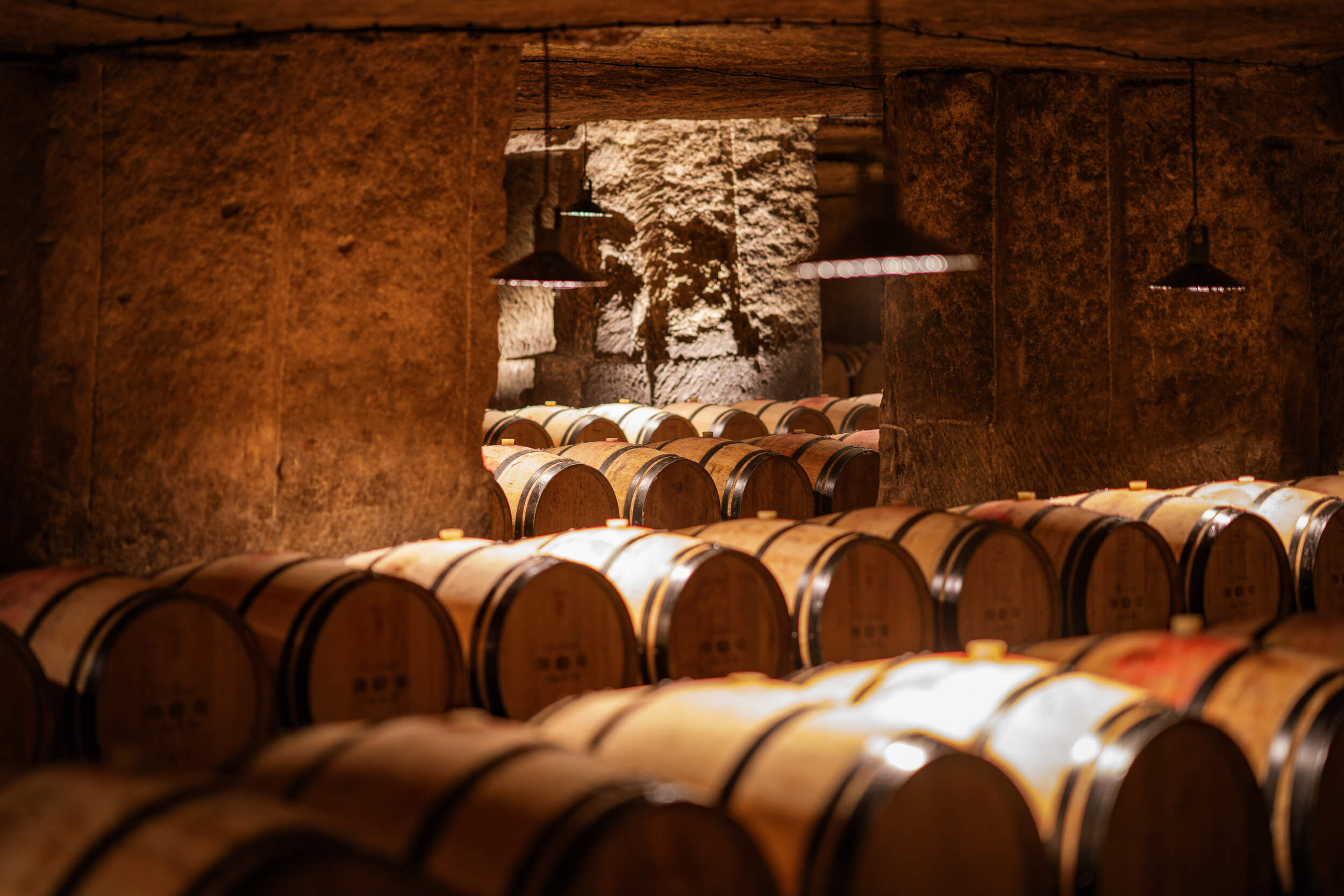 Les différentes méthodes d’élevage du vin : entre tradition et innovation - Vignerons Consultants
